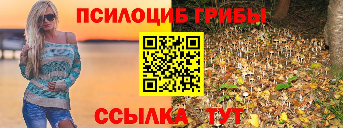 Галлюциногенные грибы Psilocybe  Вход с VPN  купить закладку  Нововоронеж 